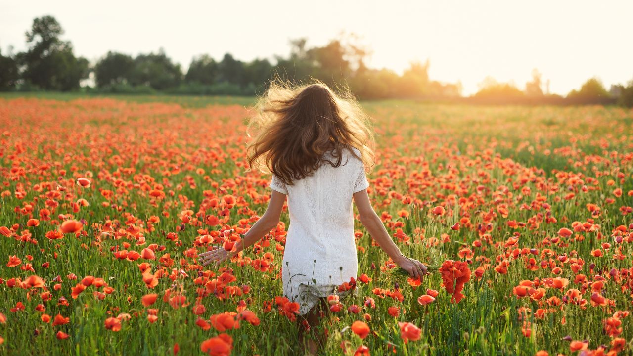 10 Jewish Bible verses to lift your spirits this Spring - FaithCounts