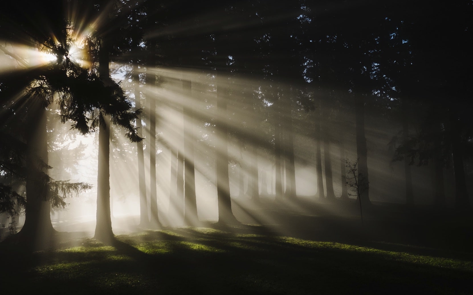 Five Ways to Find Light in the Darkness from Corrie ten Boom - FaithCounts